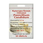 Белая плесень для сыра Penicillium Candidum